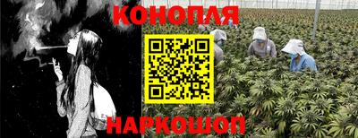 ГАЛЛЮЦИНОГЕННЫЕ ГРИБЫ Краснокаменск