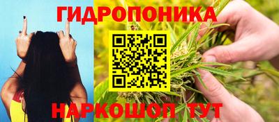 ГАЛЛЮЦИНОГЕННЫЕ ГРИБЫ Краснокаменск