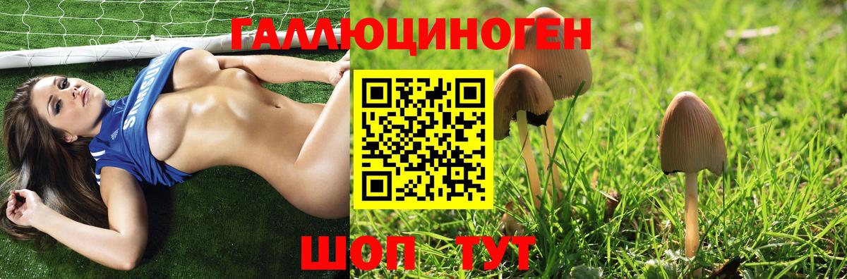 Костомукша  Галлюциногенные грибы Psilocybe  Вход с VPN  Галлюциногенные грибы мухоморы 