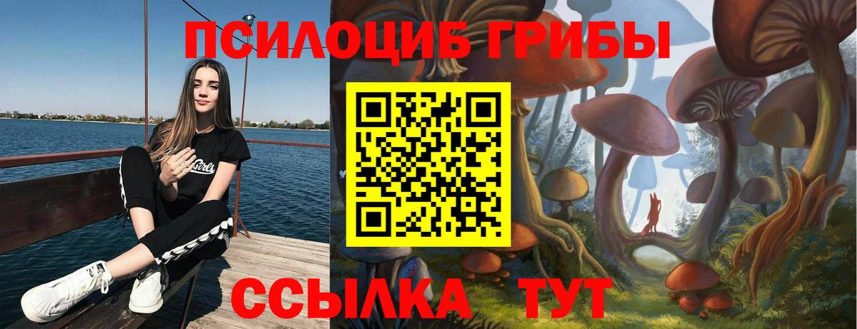 Псилоцибиновые грибы Cubensis Костомукша